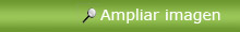 Ampliar imagen de rbol del Amor