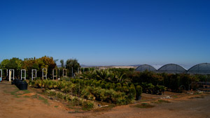 Viveros La Peñuela